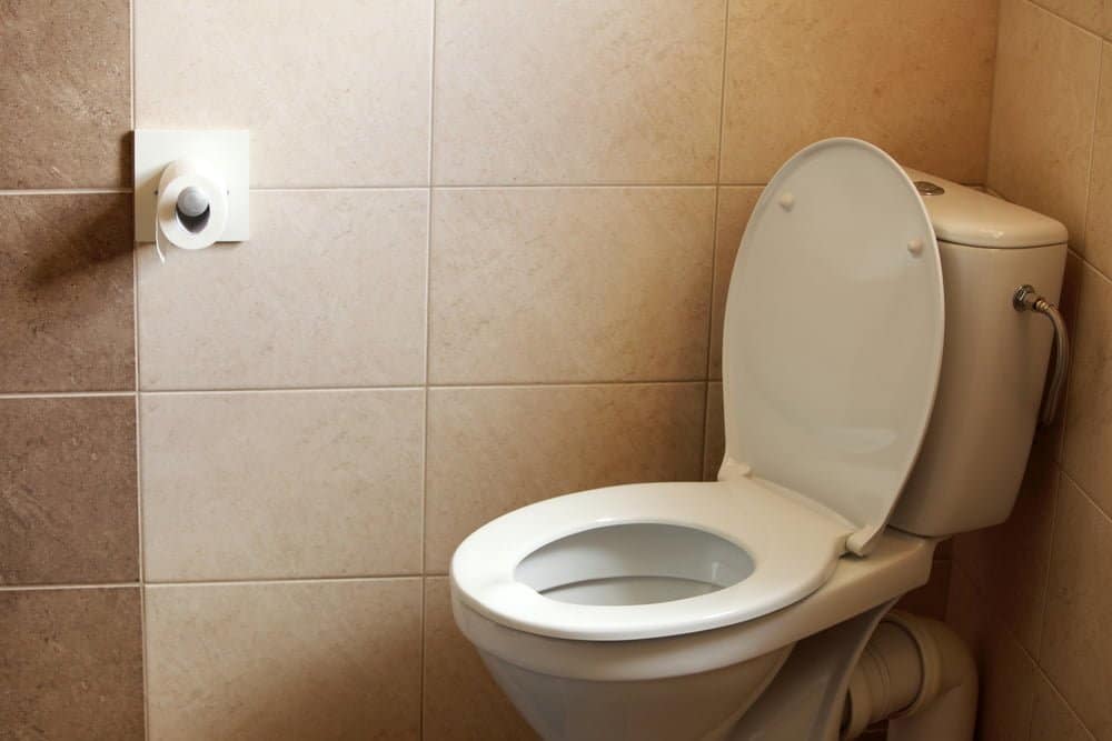 Clearing Toilet Clogs Without a Plunger