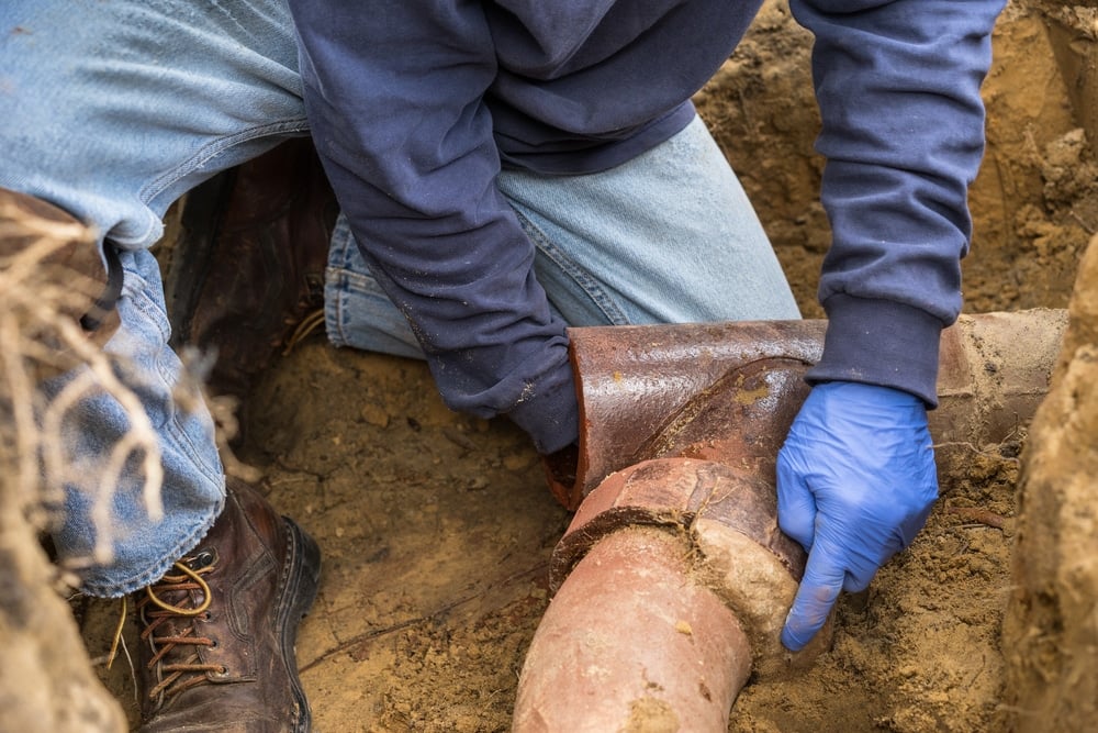 Primary Culprits in Main Sewer Line Backup Issues