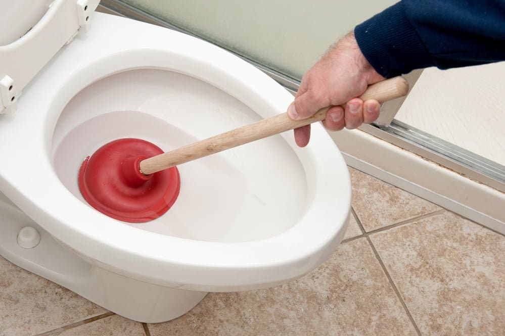 Information and Details on Common Plunger Types