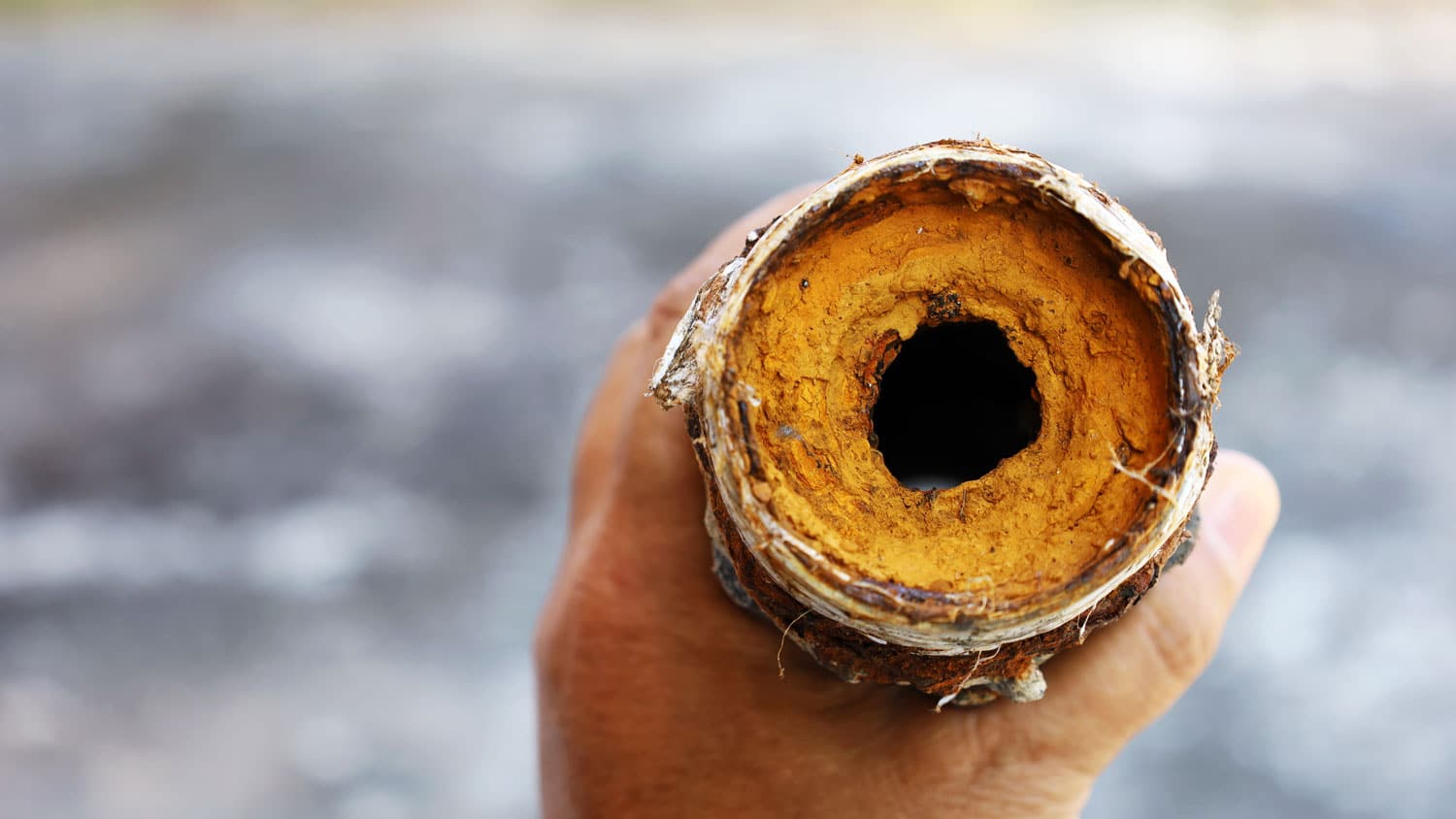 Clogged Sewer Pipe - Expert Services of Utah